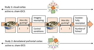 Does Transcranial Direct Current Stimulation (tDCS) Improve Disgust Regulation Through Imagery Rescripting?